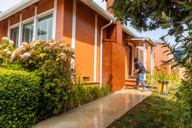 Best Power Washing Near Me  in Paulsboro, NJ